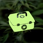 La Planta Médica